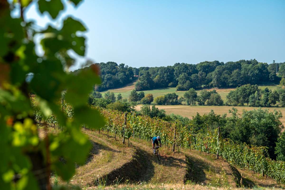 Credits: Paolo Penni Martelli